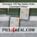 Kamagra 100 Mg Gelée Orale Comment Utiliser 25